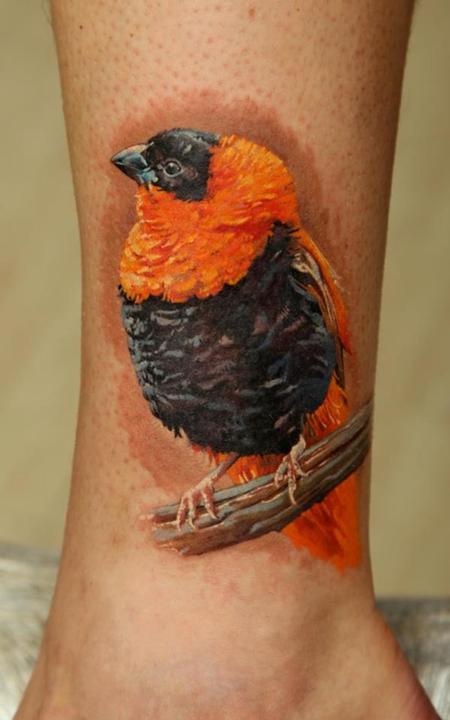 tattoos/ - African Bird - 63851